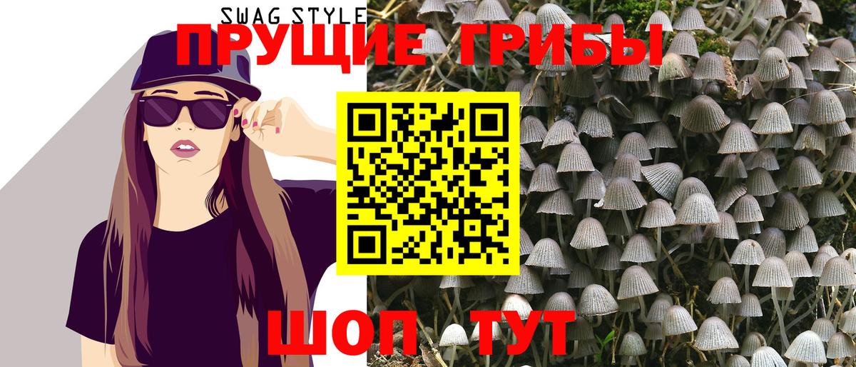 Сосновый Бор  Галлюциногенные грибы MAGIC MUSHROOMS  Вход с VPN 